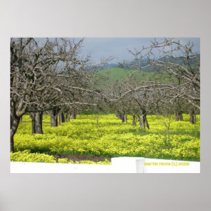 Orchard Mustard Fields Poster