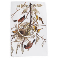 Orchard Oriole Birds with Nest Audubon