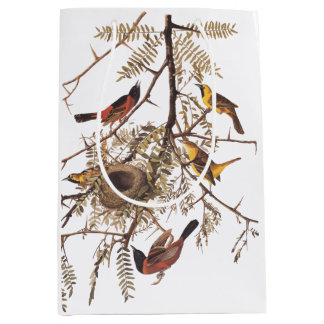 Orchard Oriole Birds with Nest Audubon Medium Gift Bag