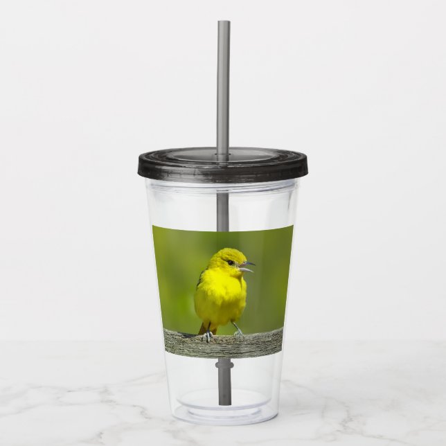 Orchard Oriole - Original Photograph Acrylic Tumbler (Front)