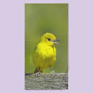 Orchard Oriole - Original Photograph Bath Towel Set
