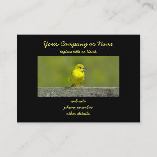 Orchard Oriole - Original Photograph Business Card