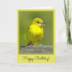 Orchard Oriole - Original Photograph Card