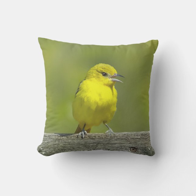 Orchard Oriole - Original Photograph Cushion (Front)
