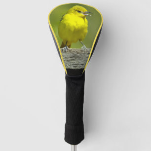 Orchard Oriole - Original Photograph Golf Head Cover
