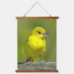 Orchard Oriole - Original Photograph Hanging Tapestry