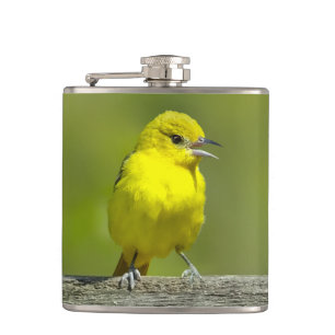 Orchard Oriole - Original Photograph Hip Flask