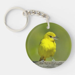 Orchard Oriole - Original Photograph Key Ring