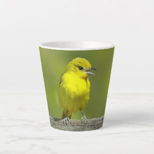 Orchard Oriole - Original Photograph Latte Mug