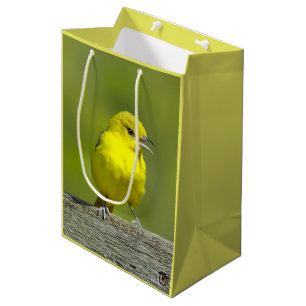 Orchard Oriole - Original Photograph Medium Gift Bag