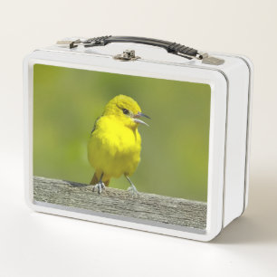 Orchard Oriole - Original Photograph Metal Lunch Box