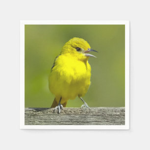 Orchard Oriole - Original Photograph Napkin