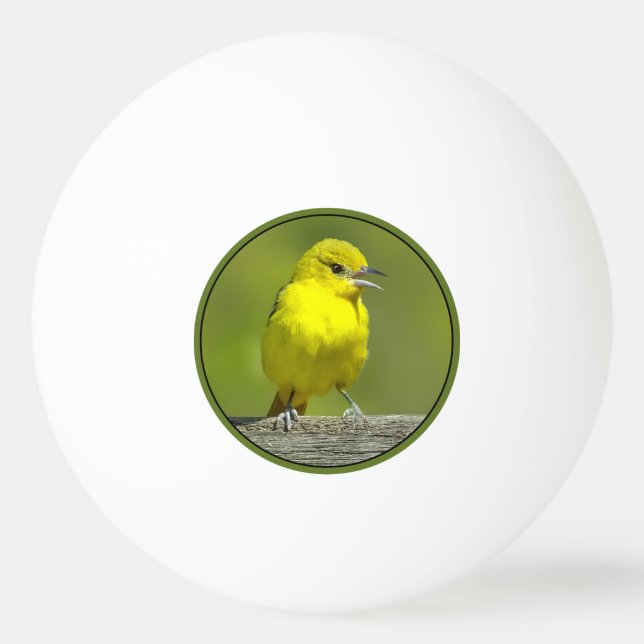 Orchard Oriole - Original Photograph Ping Pong Ball (Front)