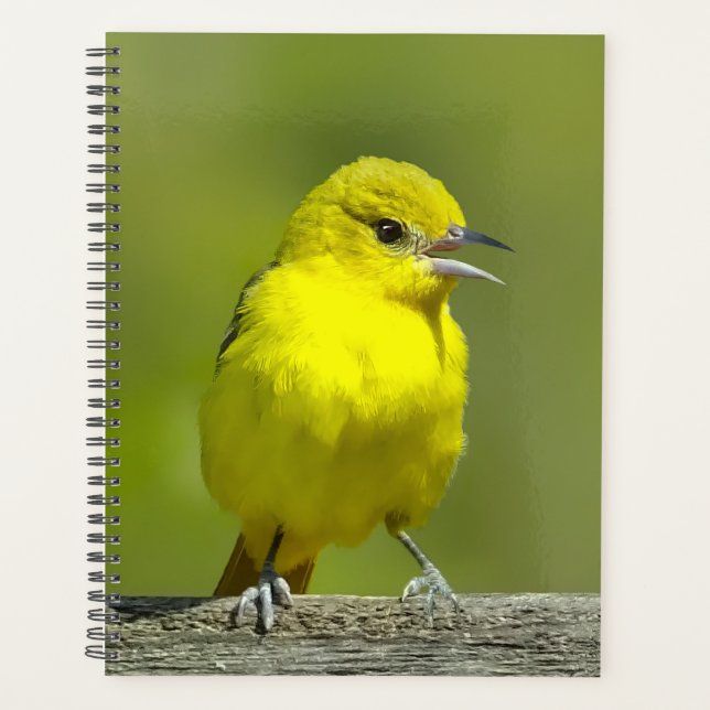 Orchard Oriole - Original Photograph Planner (Front)