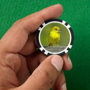 Orchard Oriole - Original Photograph Poker Chips
