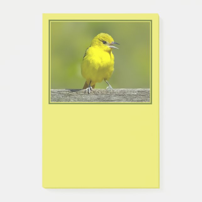 Orchard Oriole - Original Photograph Post-it Notes (Front)