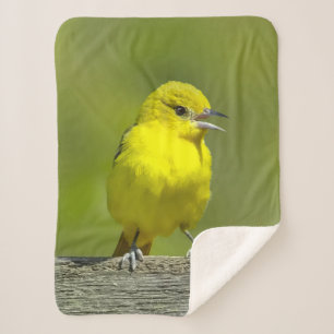 Orchard Oriole - Original Photograph Sherpa Blanket