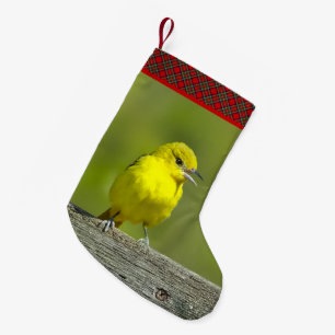 Orchard Oriole - Original Photograph Small Christmas Stocking