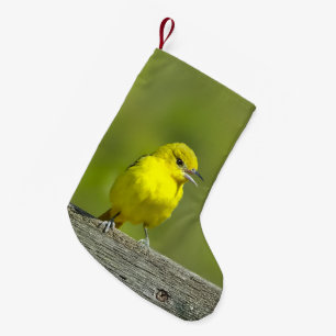 Orchard Oriole - Original Photograph Small Christmas Stocking
