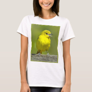 Orchard Oriole - Original Photograph T-Shirt