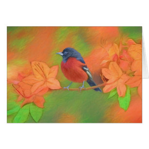 Orchard Oriole Songbird Painting Original Bird Art