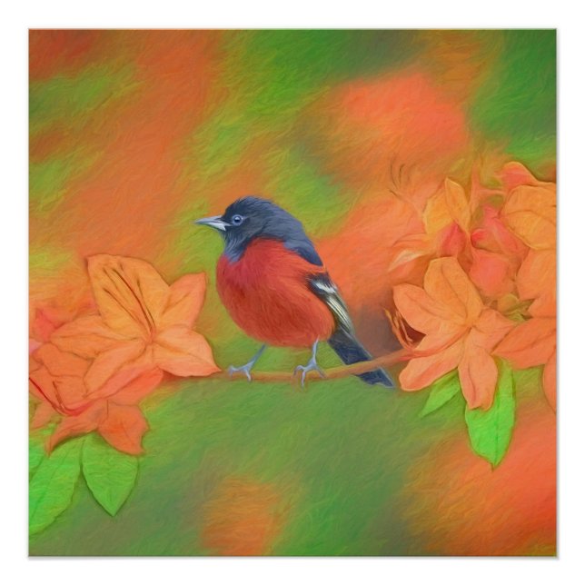 Orchard Oriole Songbird Painting Original Bird Art Poster (Front)