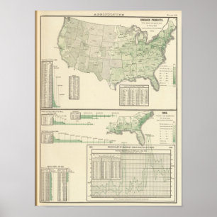 Orchard products and rice poster