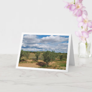 Orchard Sky Landscape Card