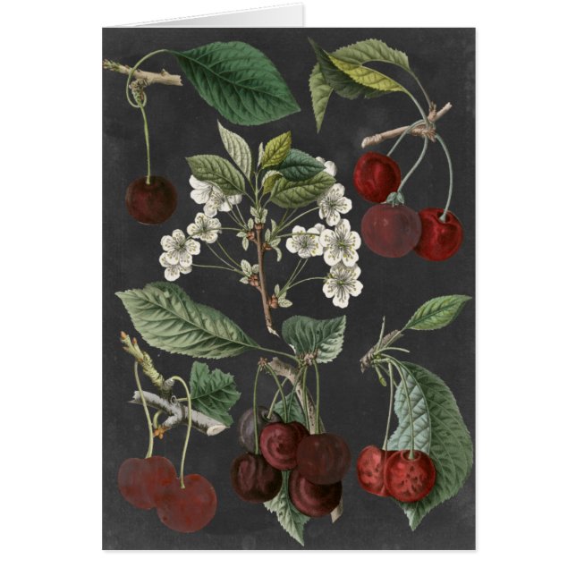 Orchard Varieties I (Front)