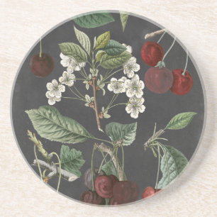 Orchard Varieties I Coaster