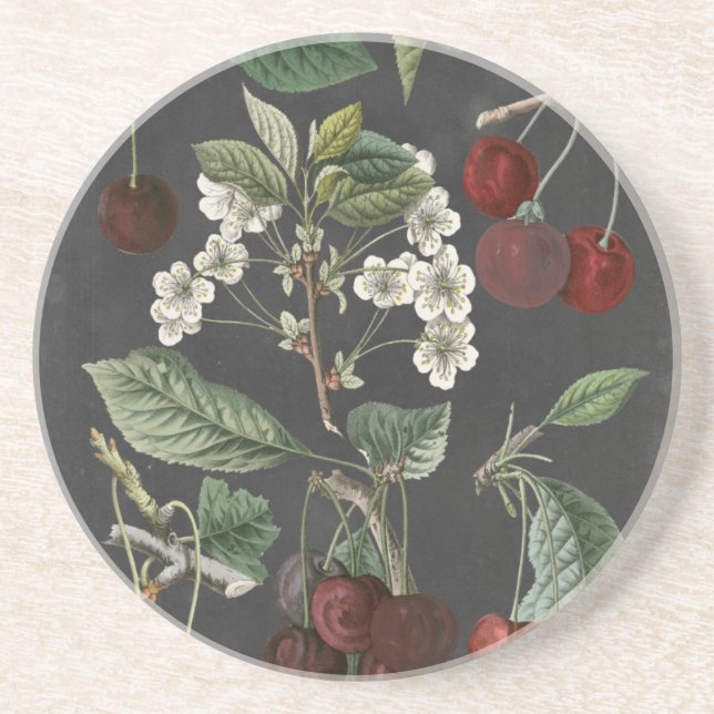 Orchard Varieties I Coaster (Front)