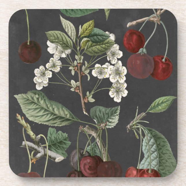 Orchard Varieties I Coaster (Front)