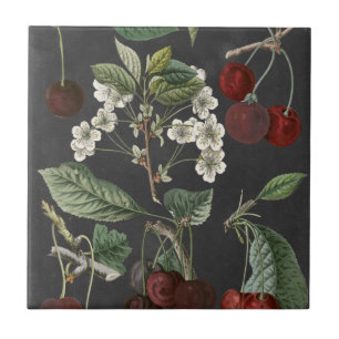 Orchard Varieties I Tile