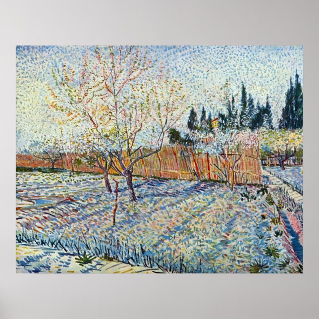 Orchard with cypress by Vincent van Gogh Poster (Front)