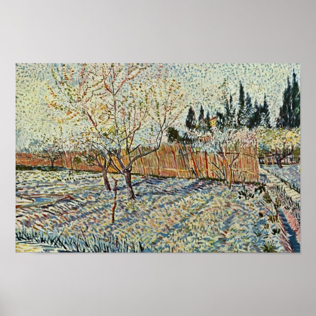Orchard With Cypress By Vincent Van Gogh Poster (Front)