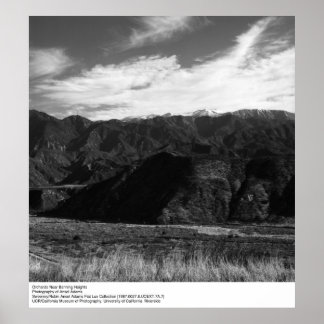 Orchards Near Banning Heights by Ansel Adams Poster