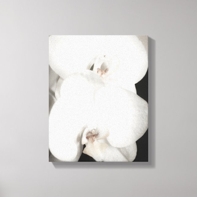 Orchid 8931 canvas print (Front)