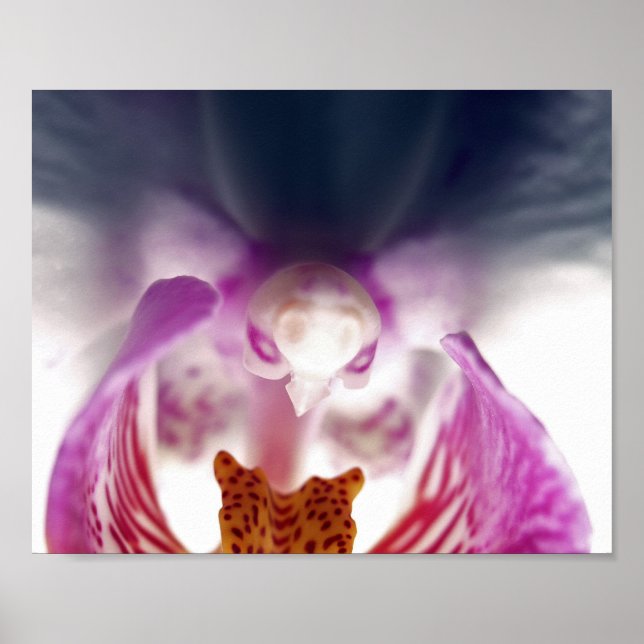 Orchid Apparition Poster (Front)