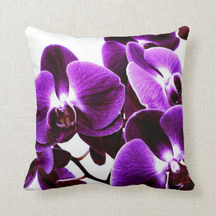 orchid beauties cushion