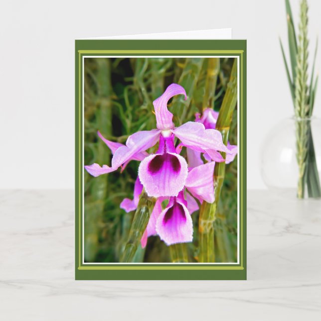 Orchid Birthday Card (Front)