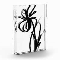 Orchid Blanc: Abstract White & Black
