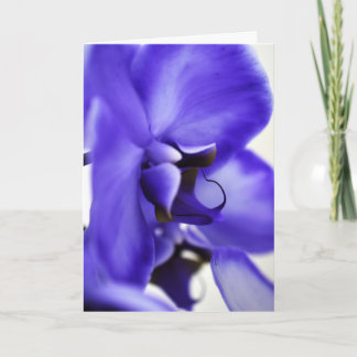 Orchid Bloom Floral Photography, 5x7 Greeting Card