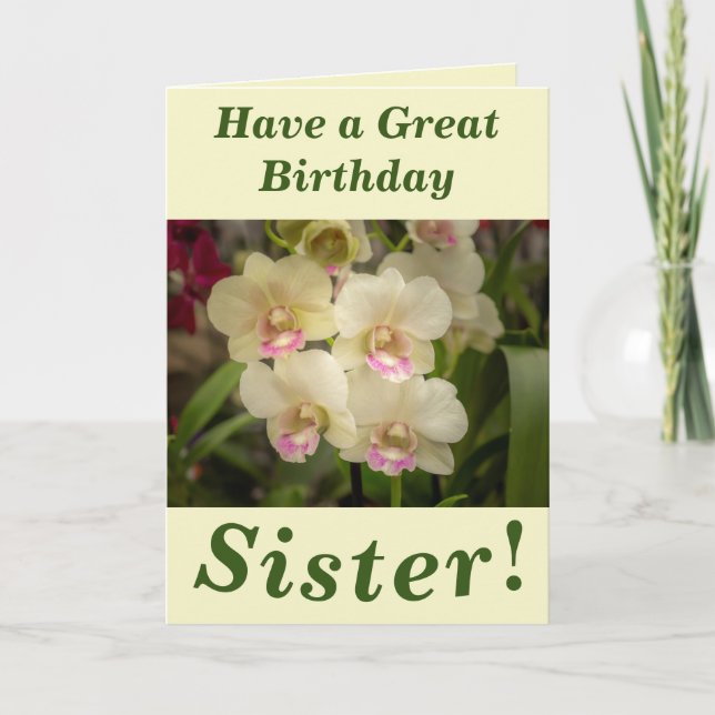 Orchid Blooms Floral Birthday Card for Sister (Front)