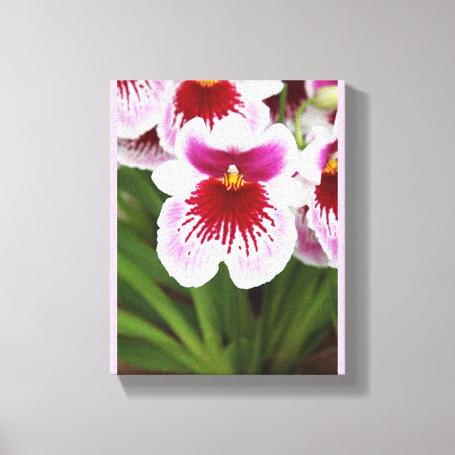 Orchid  Blossoms Elegant Chic Mod Canvas Print (Front)