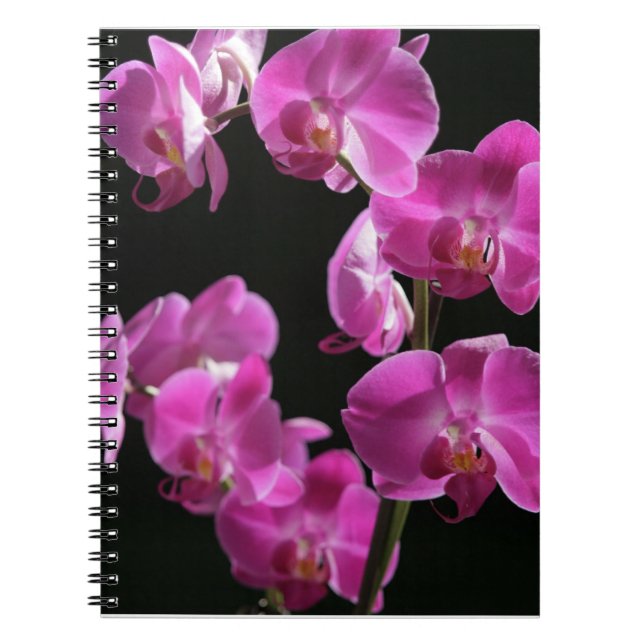Orchid Blossoms Notebook (Front)