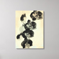Orchid Blush Panels III