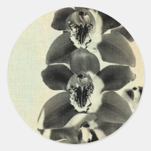 Orchid Blush Panels IV Classic Round Sticker