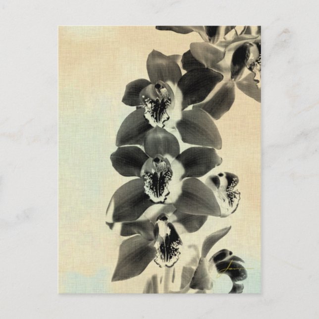 Orchid Blush Panels IV Postcard (Front)