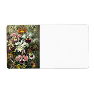 Orchid Botanical Print