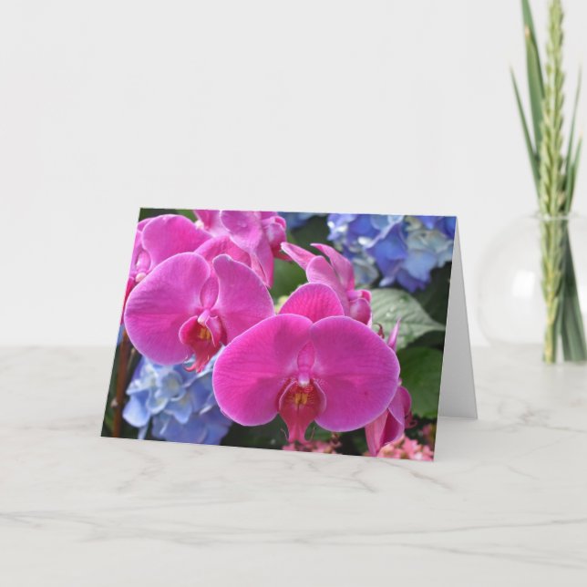 Orchid, card (Front)